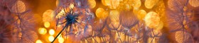 Кухонный фартук Мерцание Одуванчики золотистые 3 серебро в Казани - kazan.katalogmebeli.com | фото