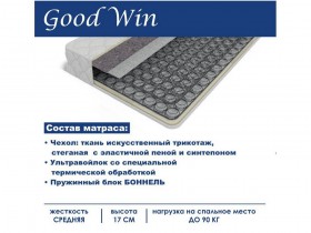 Матрас GoodWin 1600*2000 в Казани - kazan.katalogmebeli.com | фото